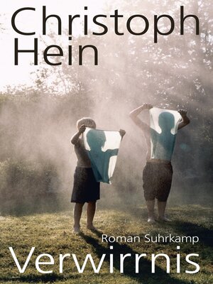 cover image of Verwirrnis